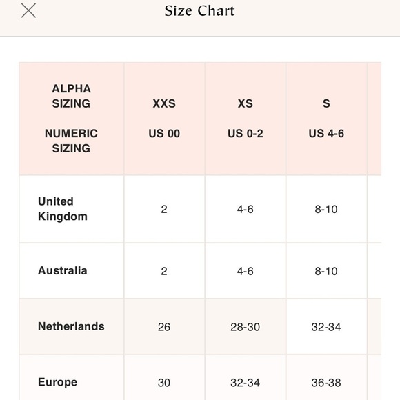 FREE People Pink Floral Butterfly Milkshake Mesh Lace Up Back Bodysuit sz Small - Picture 6 of 12